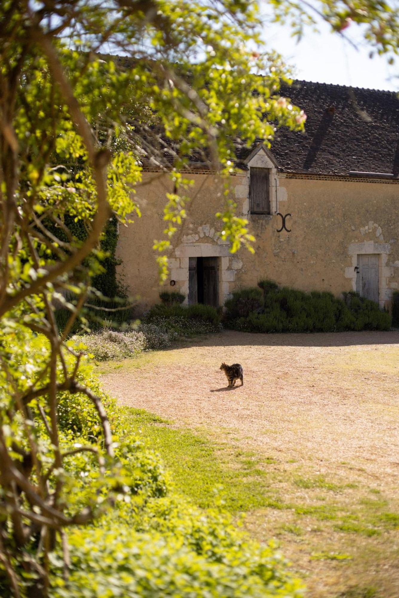 Le Manoir Du Plessis Hotel Dance  Eksteriør billede